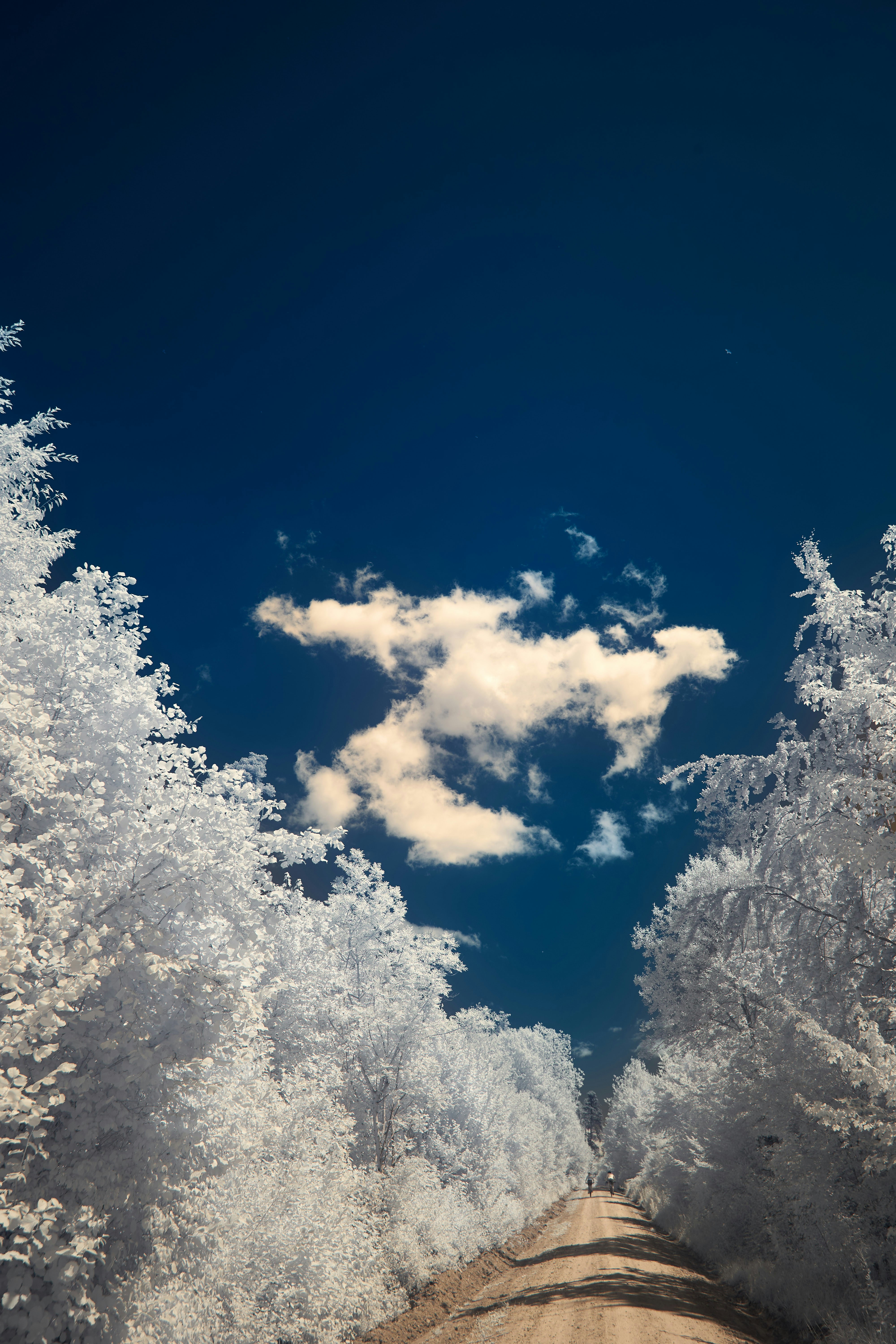 Photo by wolfgang_hasselmann