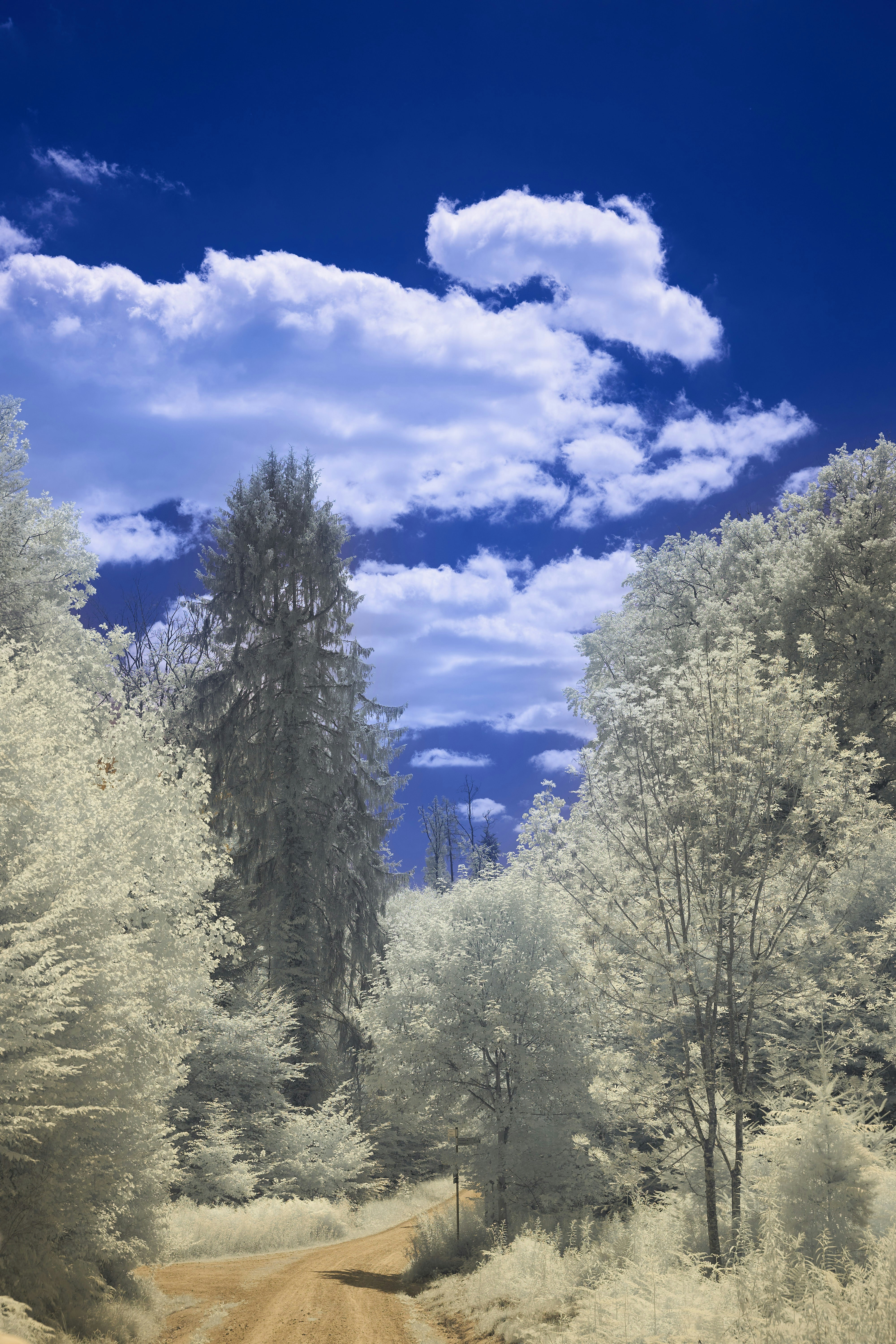 Photo by wolfgang_hasselmann