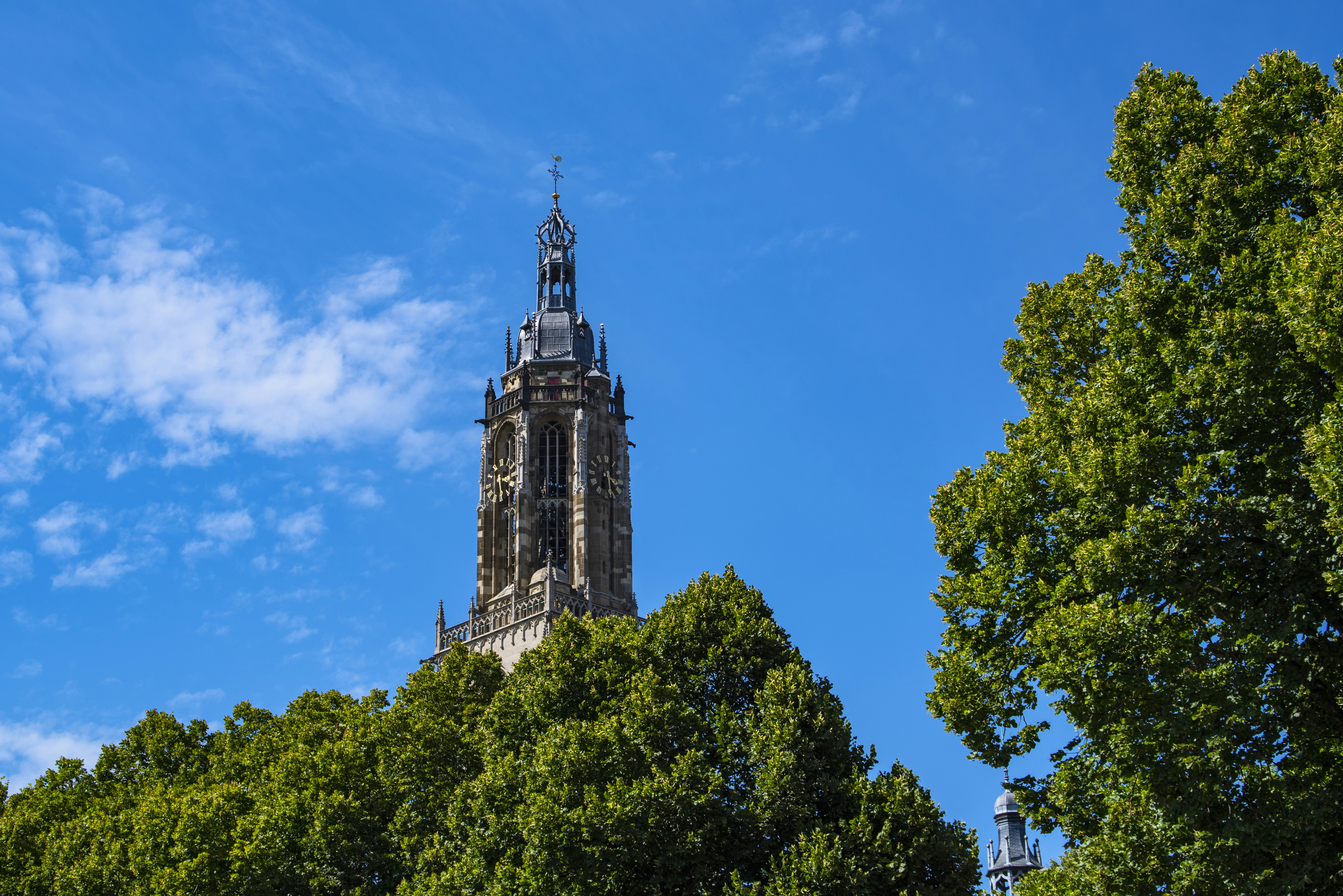 Photo by switch_dtp_fotografie