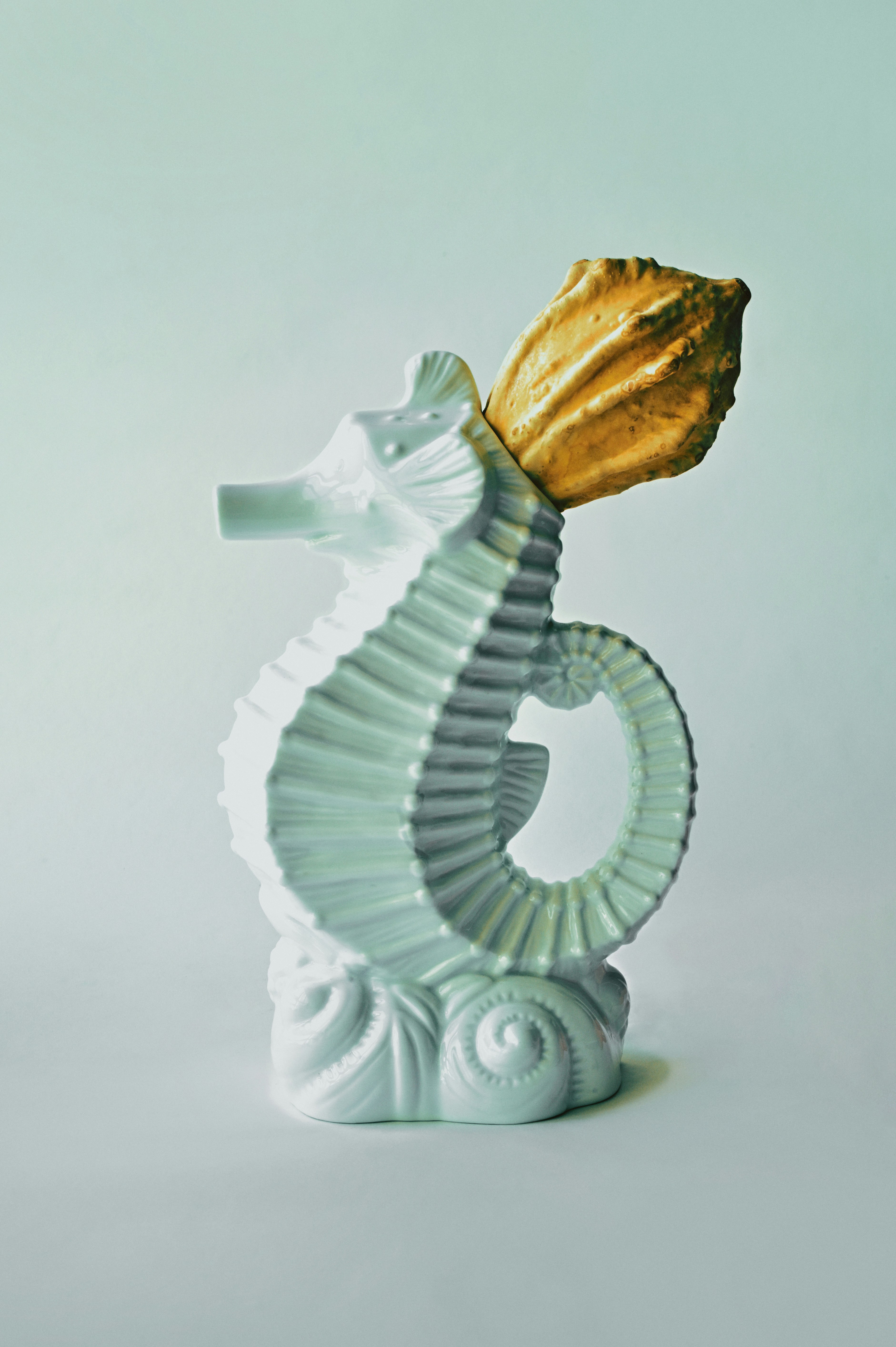 Seahorse king 