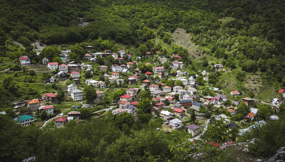 Vista aérea de casas en un campo de hierba verde durante el día