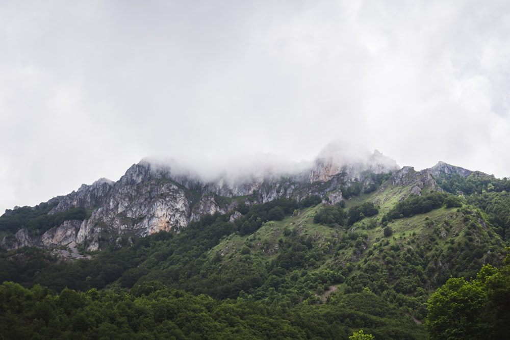 grüner und grauer Berg unter weißen Wolken tagsüber