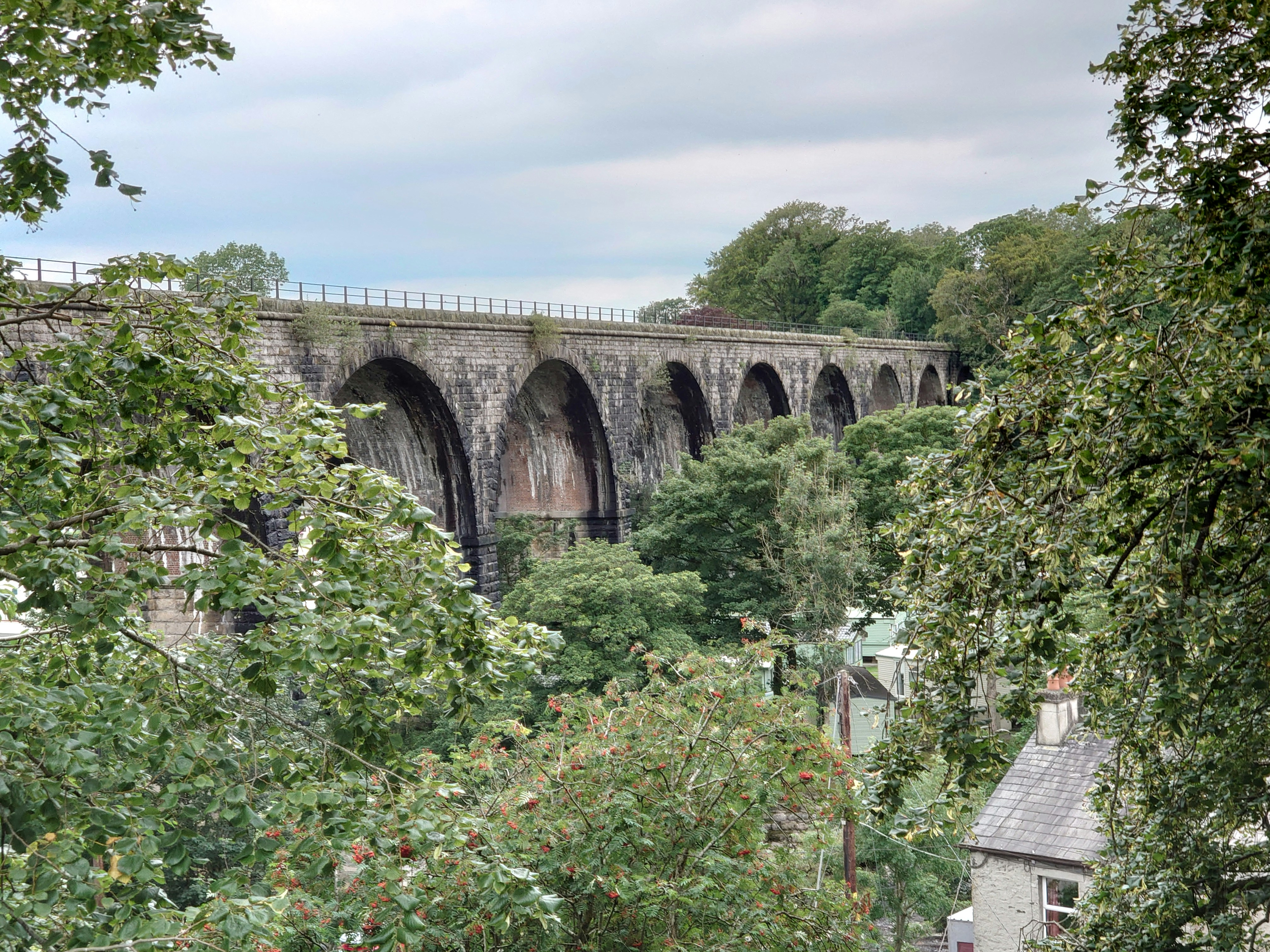 Green trees near gray concrete bridge under white clouds during daytime