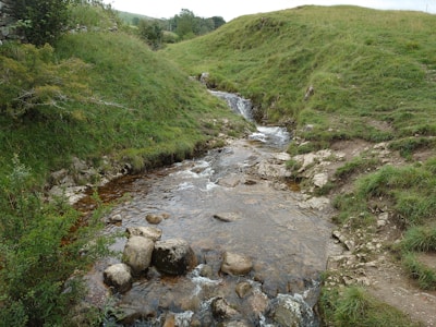A clear river flowing gently through a lush green landscape.