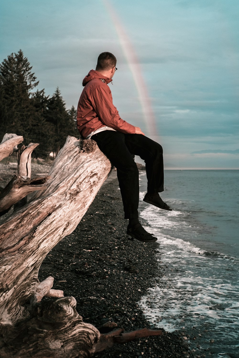 man in red dress shirt and black pants sitting on brown tree log on beach during