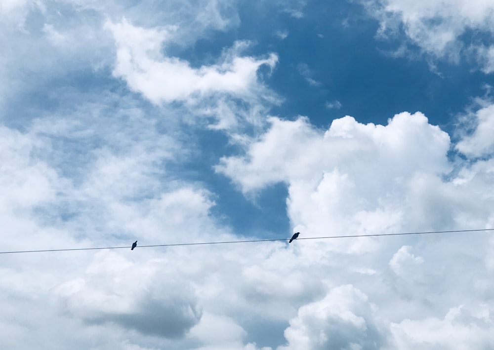 black bird flying under white clouds during daytime