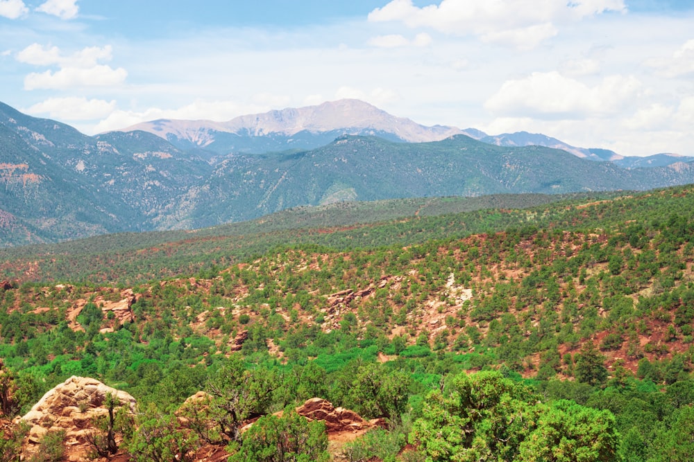 green trees on mountain under blue sky during daytime