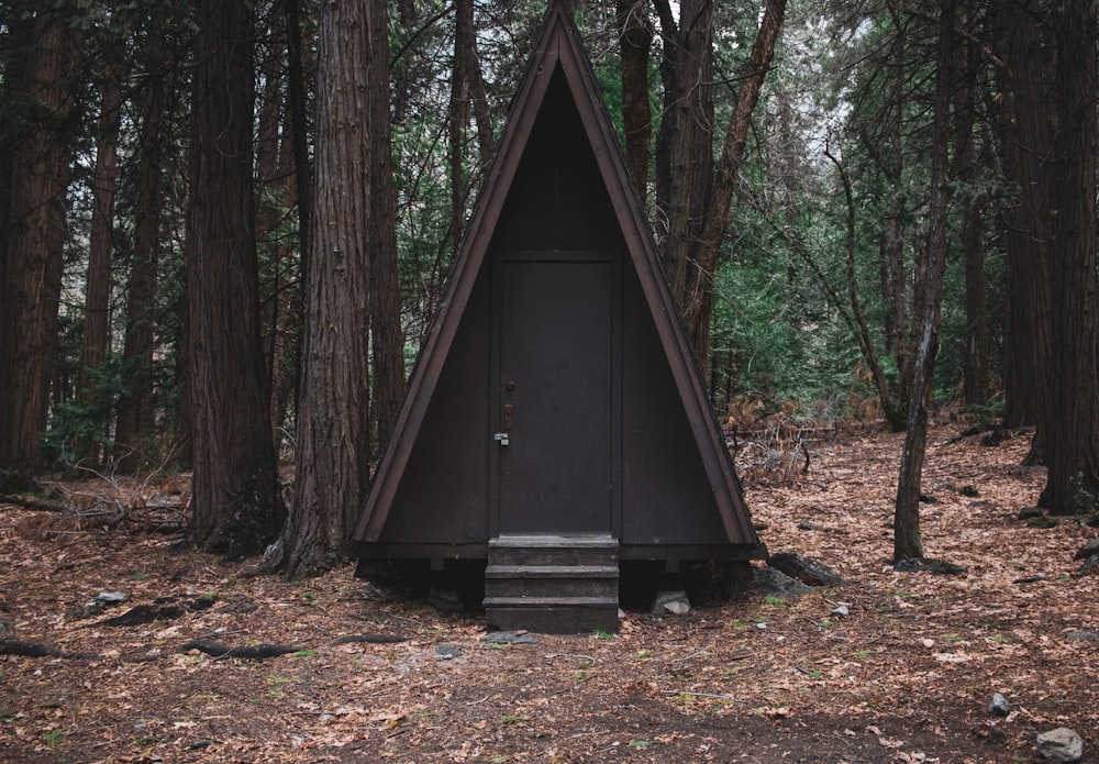 brown wooden house surrounded by trees