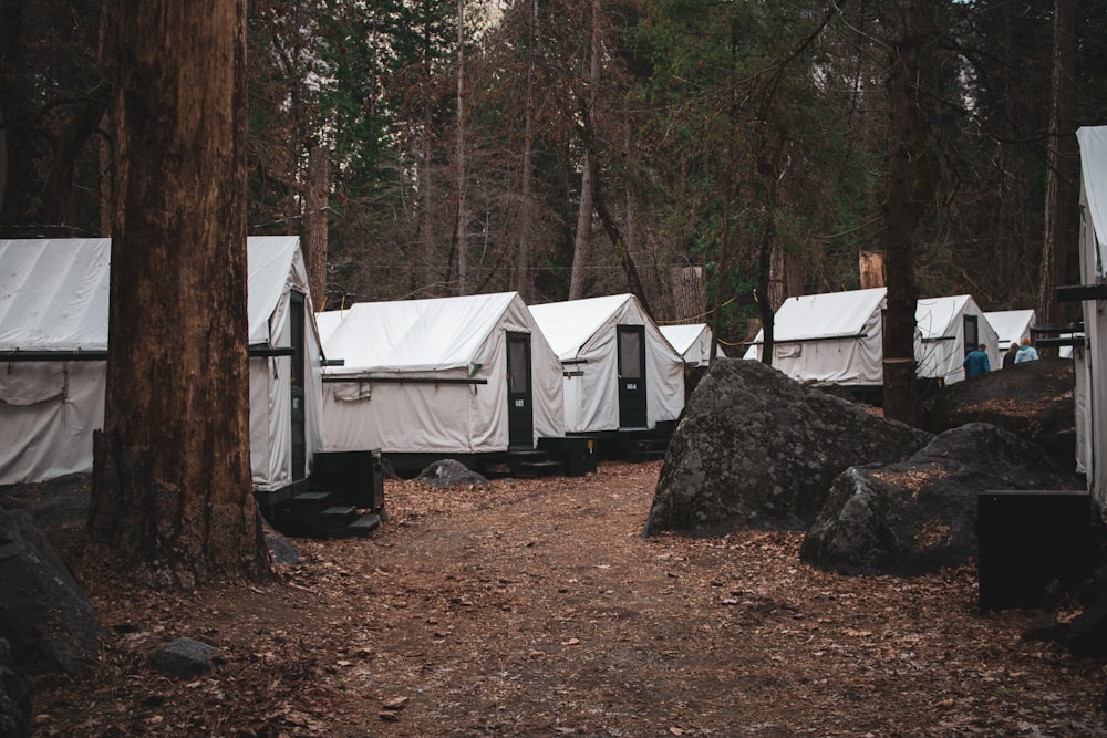 white tent on brown ground surrounded by green trees during daytime