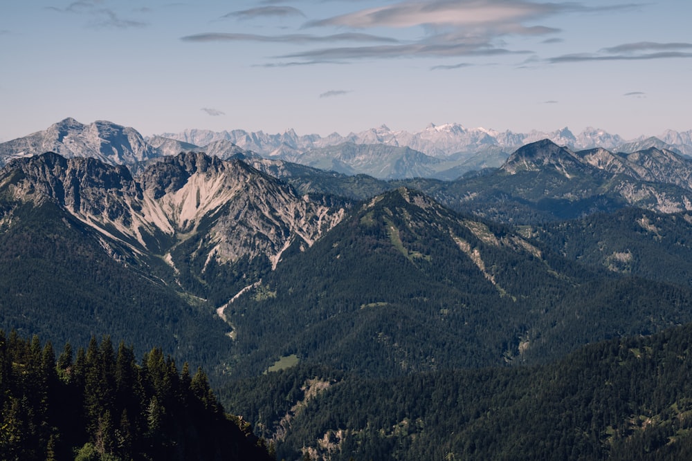 green trees on mountain under white clouds during daytime