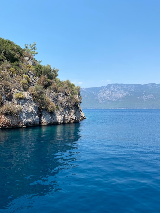 green trees on brown rock formation beside blue sea under blue sky during daytime in Sedir Island Turkey