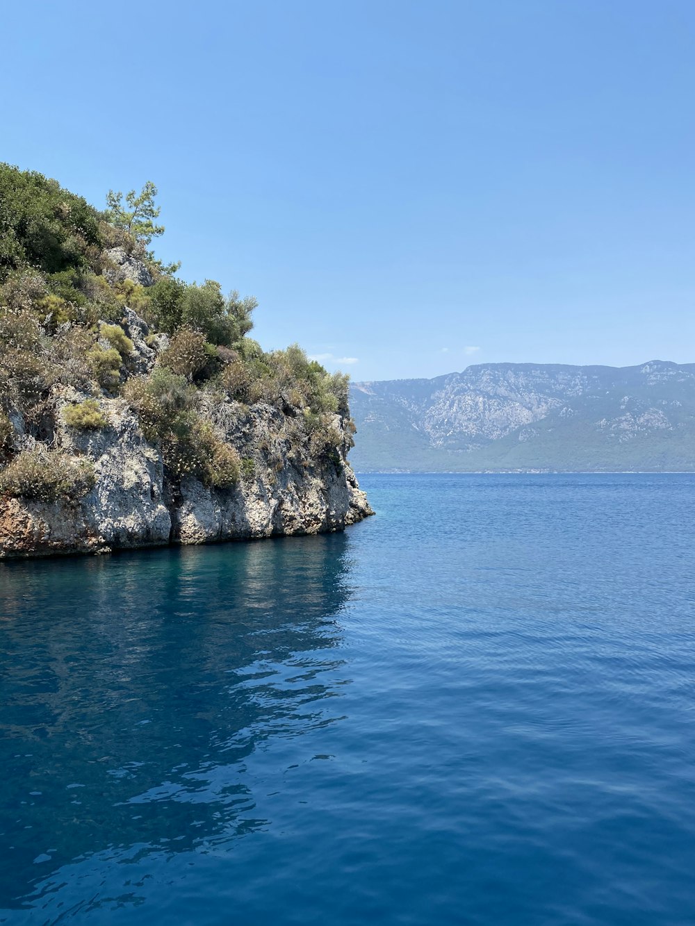 green trees on brown rock formation beside blue sea under blue sky during daytime