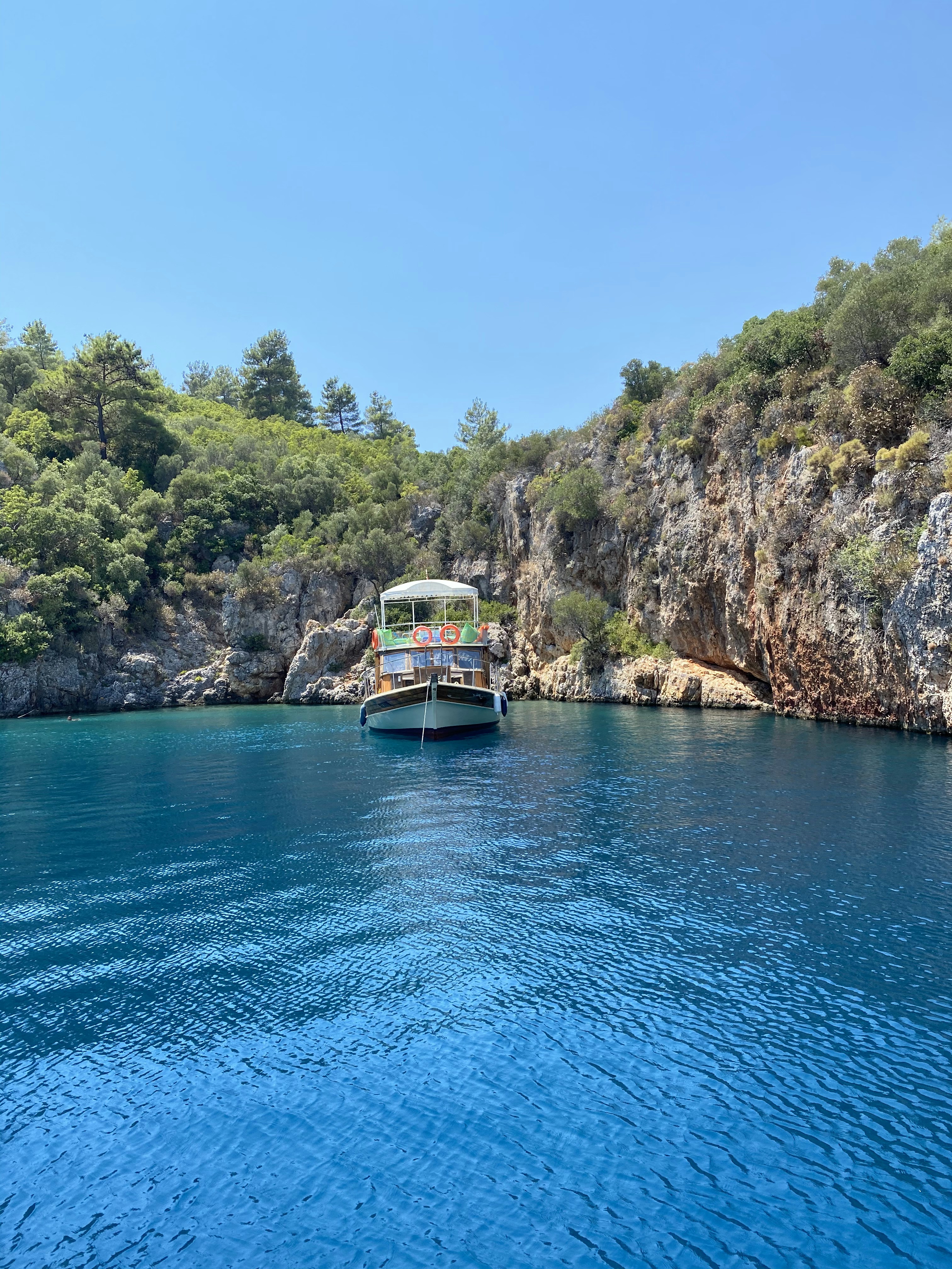 boat on water near green trees during daytime