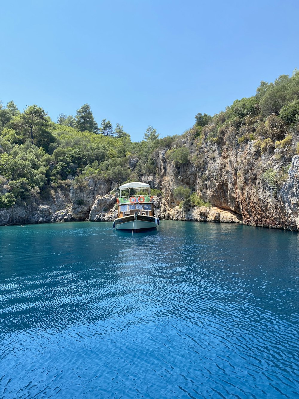 boat on water near green trees during daytime