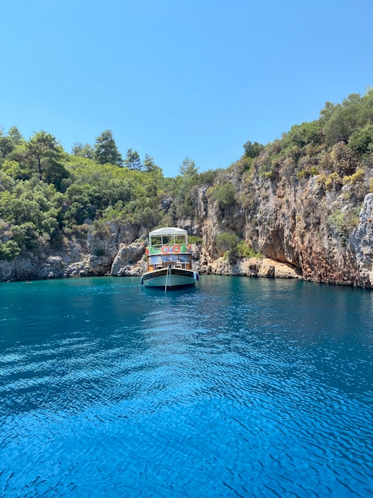 boat on water near green trees during daytime in Muğla Turkey