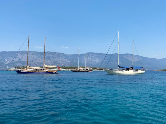 Aegean Sea things to do in Muğla