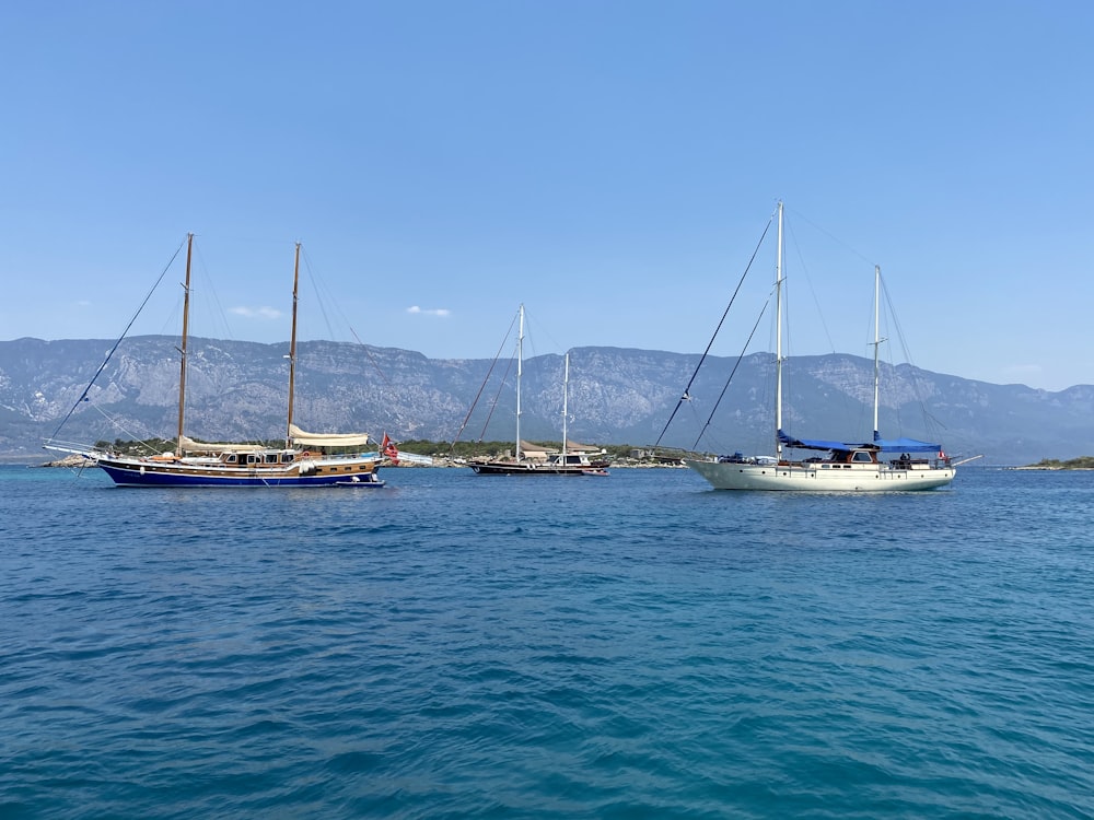 white and blue boat on sea during daytime