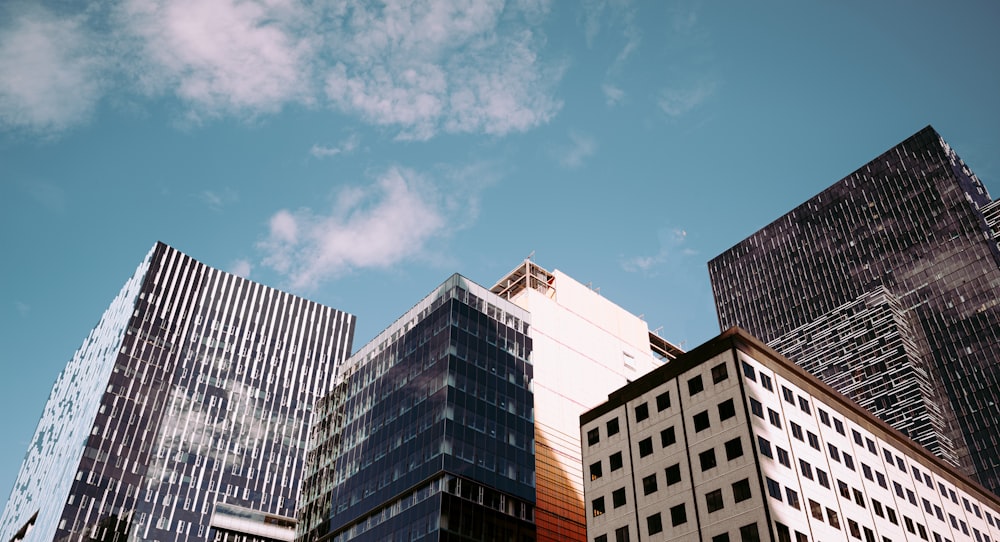 white and blue concrete building under blue sky during daytime