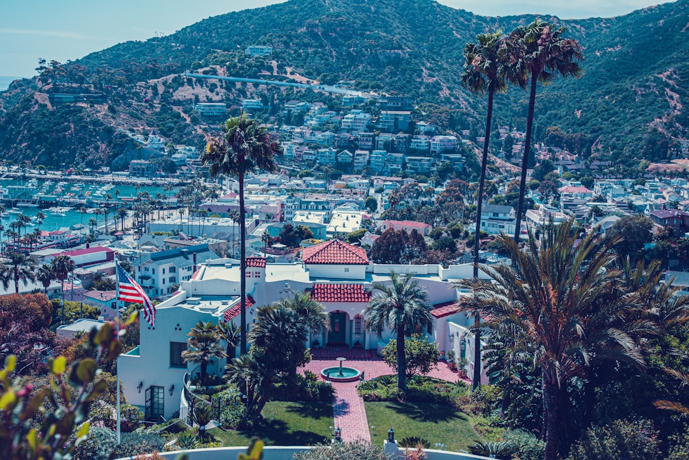 aerial view of green trees and buildings during daytime