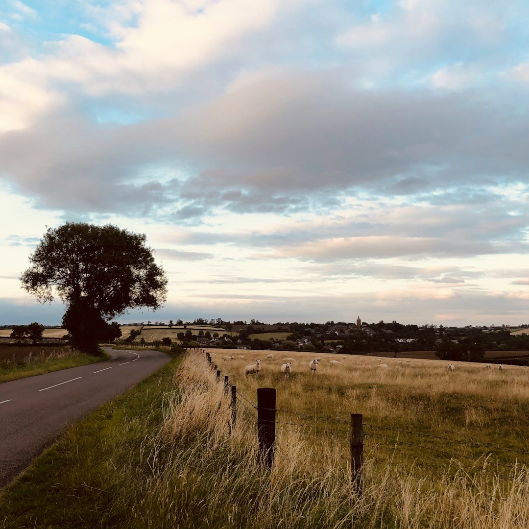 Plain photo spot Croxton Road Cambridge