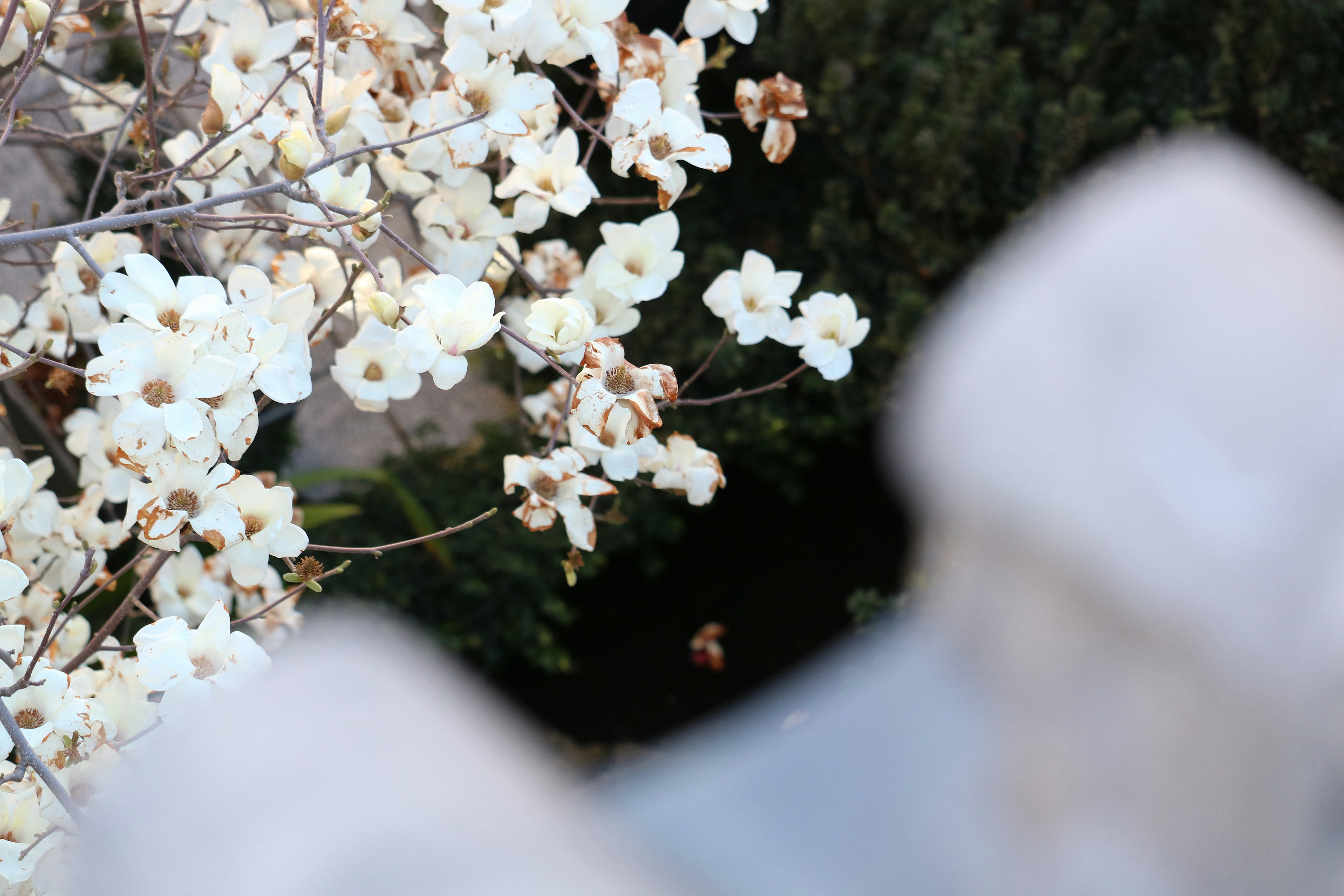 Photo by tiffany1216