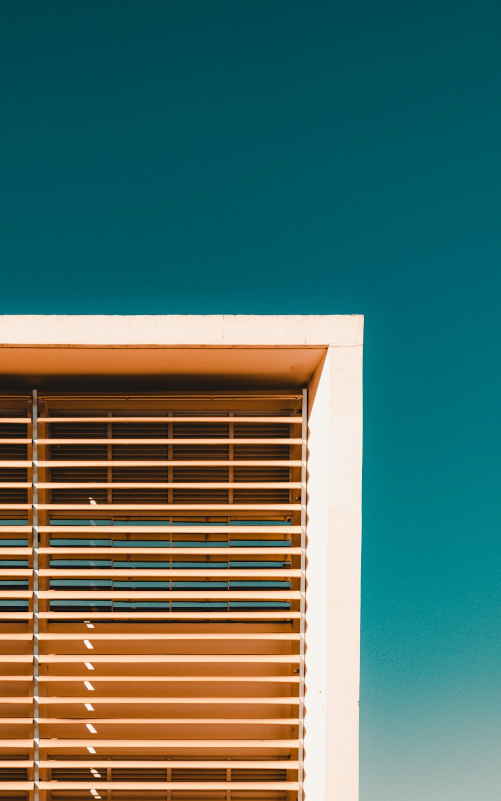 white window blinds on blue wall