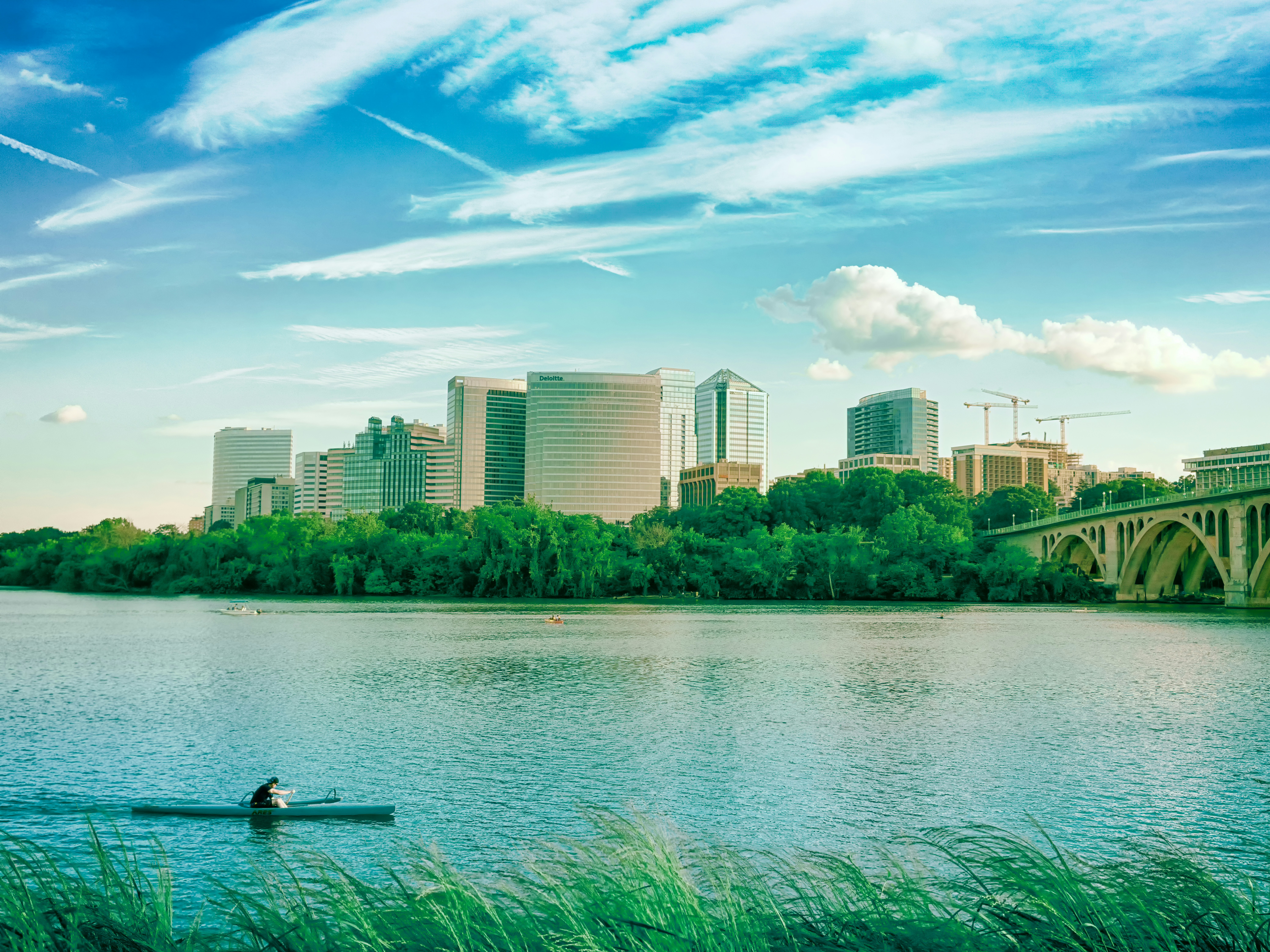 Photo by obionyeador