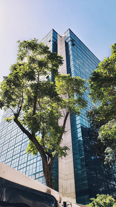 green tree beside brown concrete building during daytime