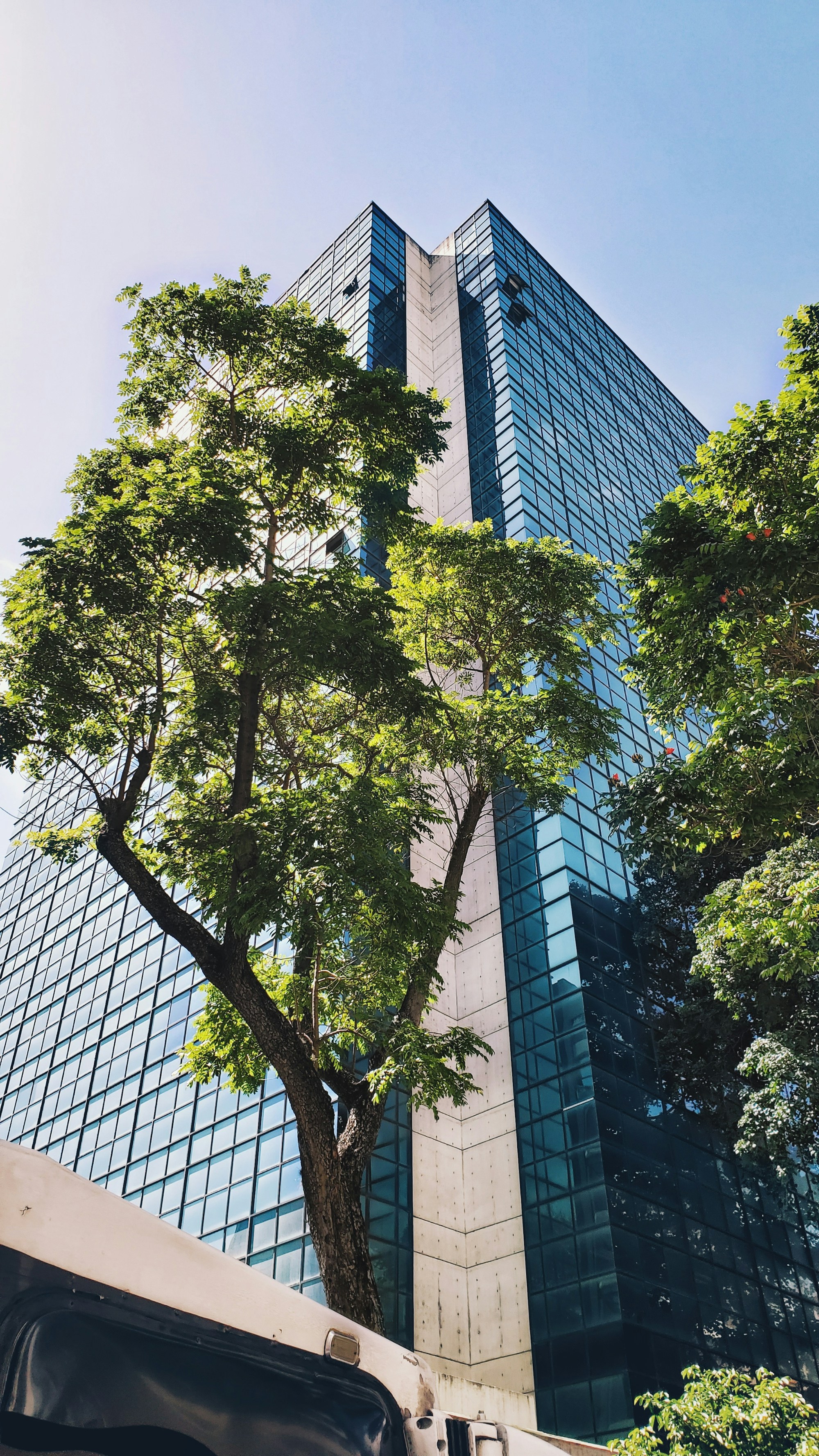 Best Time to Visit Caracas: Weather, Seasons & Months Guide
