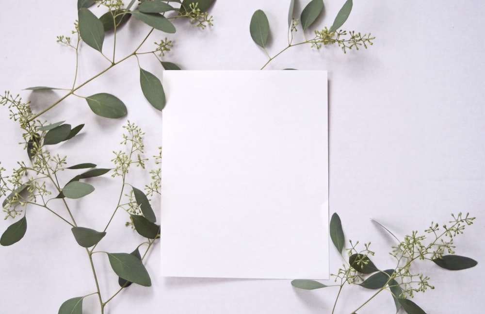 a white sheet of paper surrounded by greenery