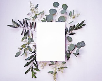 white paper on green leaves