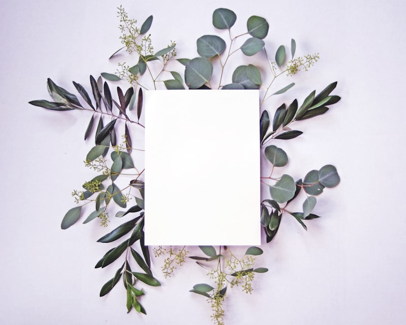 Vista aérea del río Chagres entre selva densa