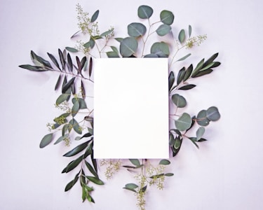 A blank piece of white paper is centered against a light background, surrounded by various green leaves and small branches. The leaves vary in shape and are arranged artistically around the paper, creating a natural and harmonious frame.