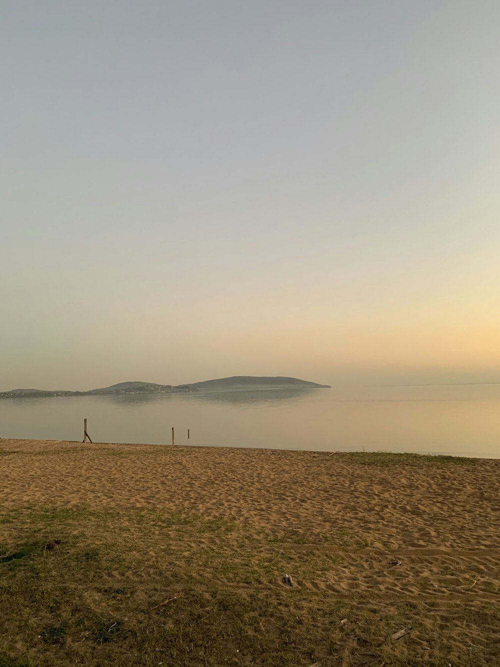 brown grass field near body of water during daytime