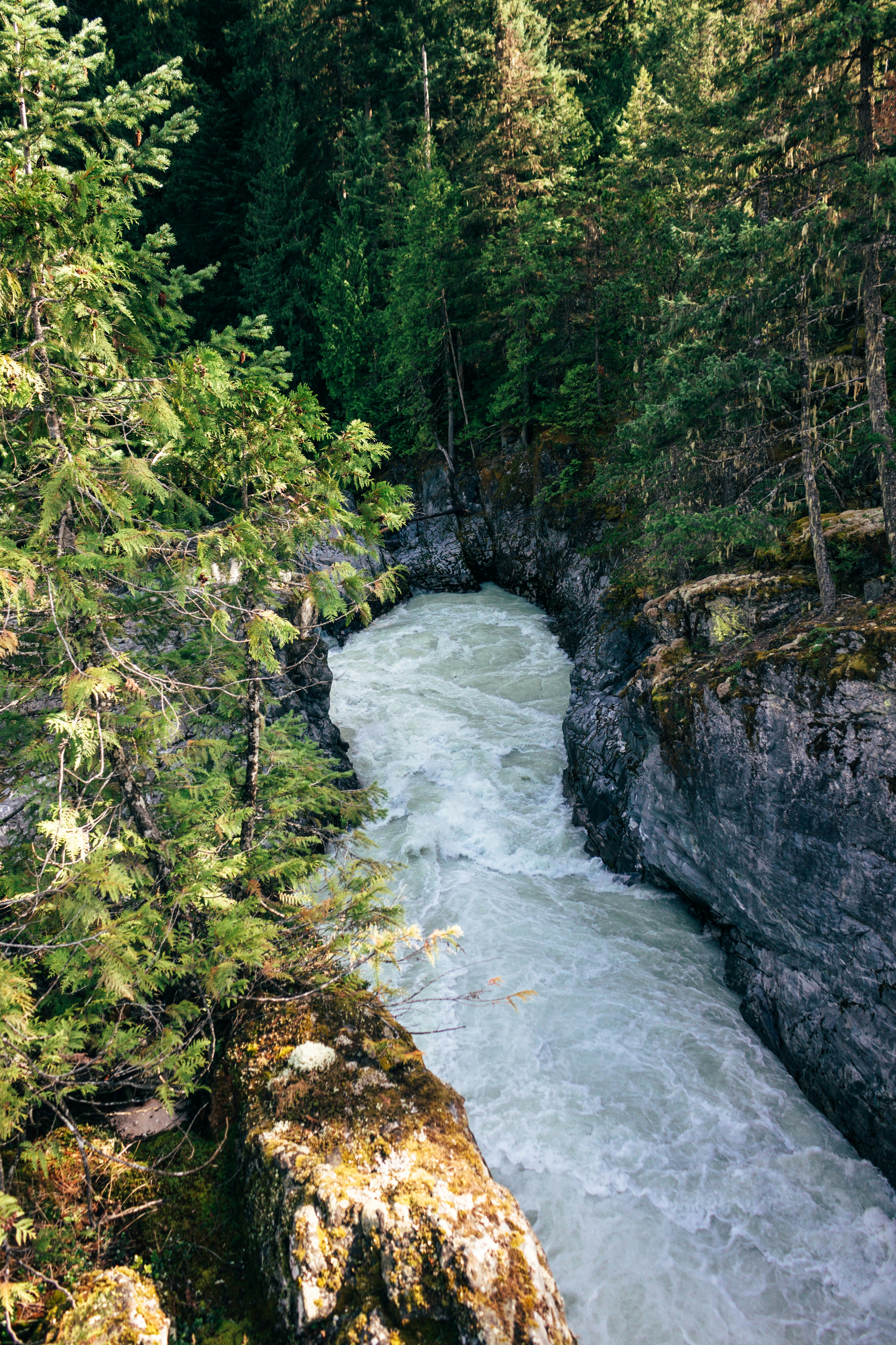 Photo by paul_siewert