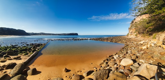 brown wooden dock on brown sand near body of water during daytime in Macmasters Beach NSW Australia