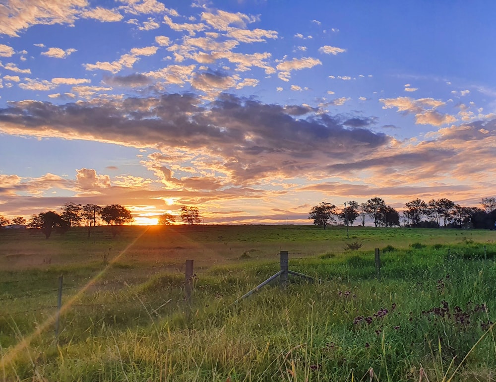 green grass field during sunset