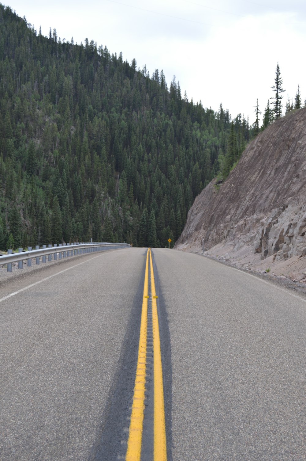 gray concrete road between green trees during daytime