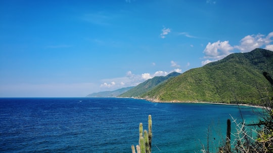 green mountain beside body of water under blue sky during daytime in Cuyagua Venezuela