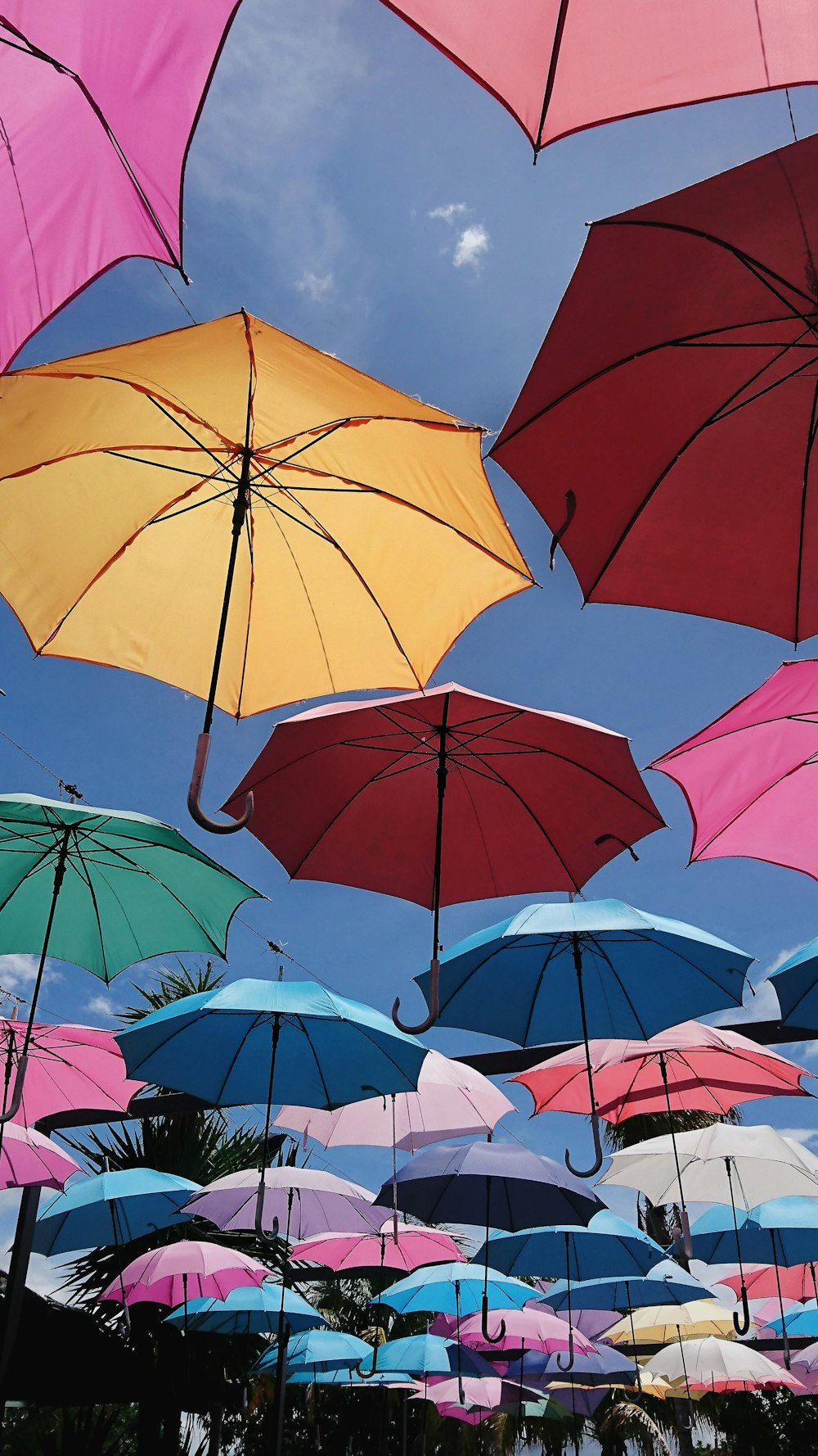 red umbrella with yellow umbrella