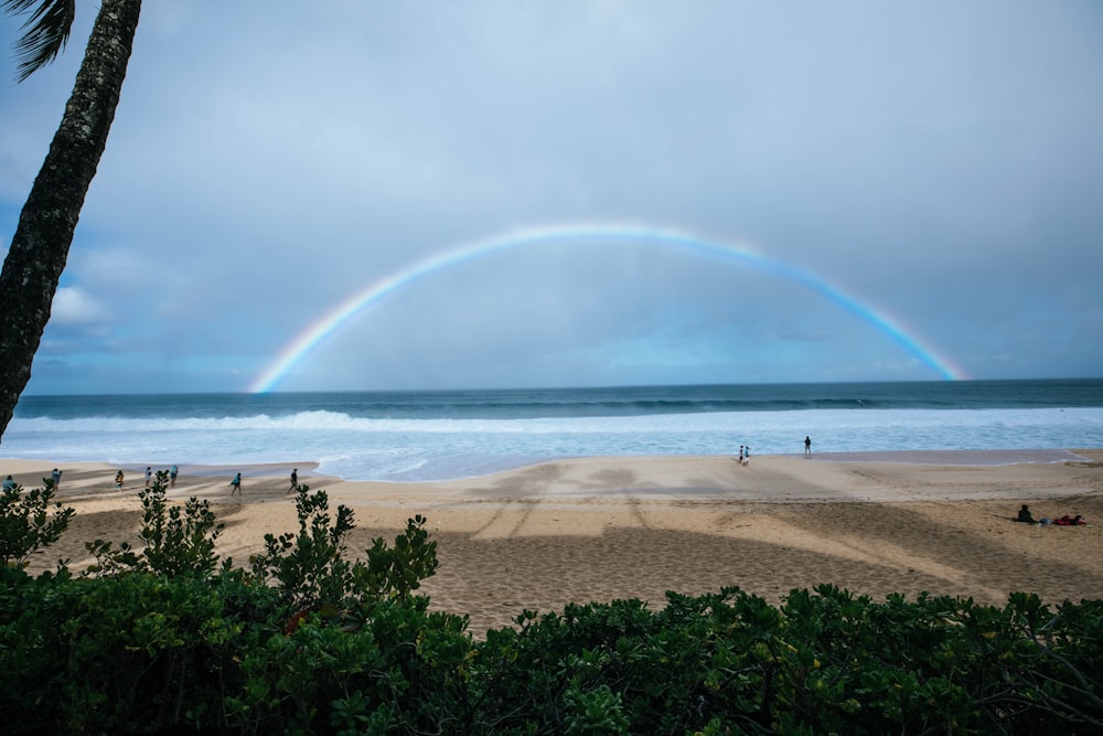 rainbow over the beach during daytime
