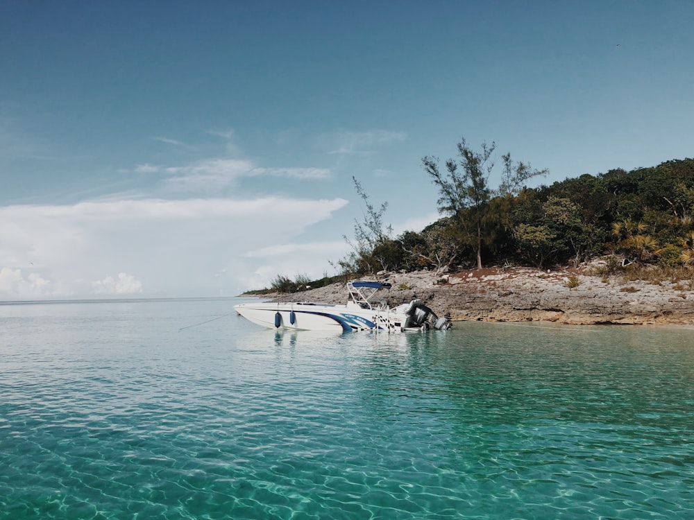 white and black motor boat on sea shore during daytime