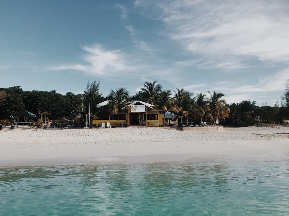 people on beach during daytime