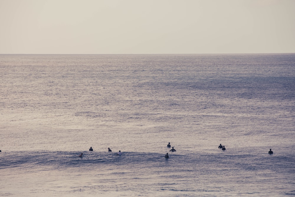 people in sea during daytime