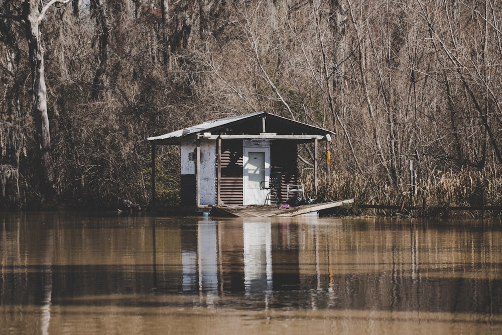 호수에 위치한 갈색 목조 주택