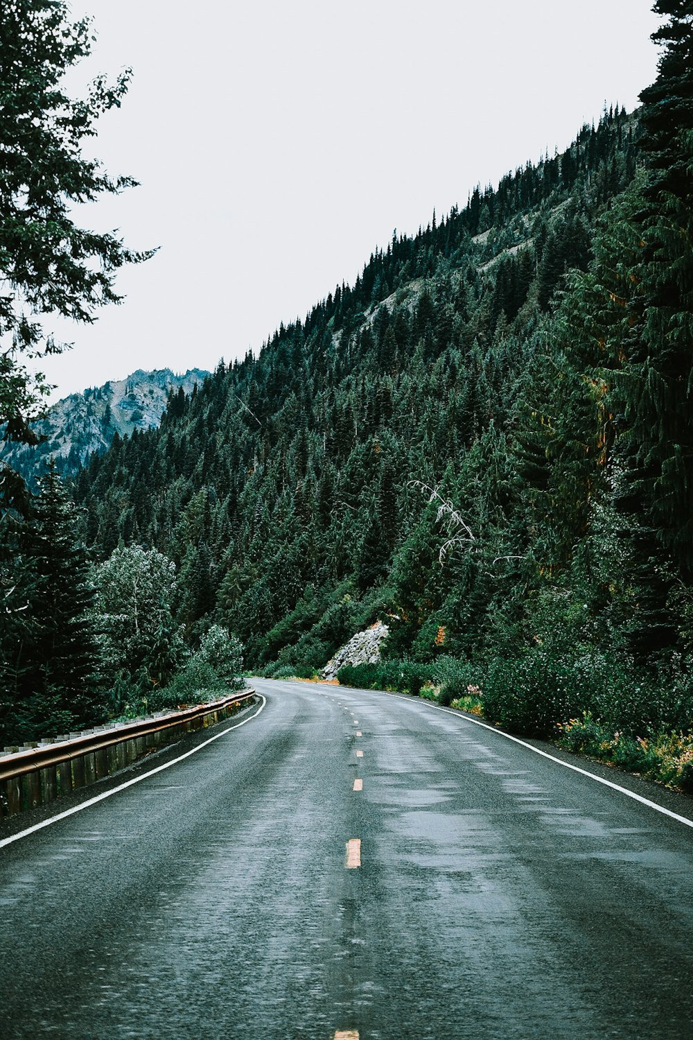 black asphalt road between green trees during daytime