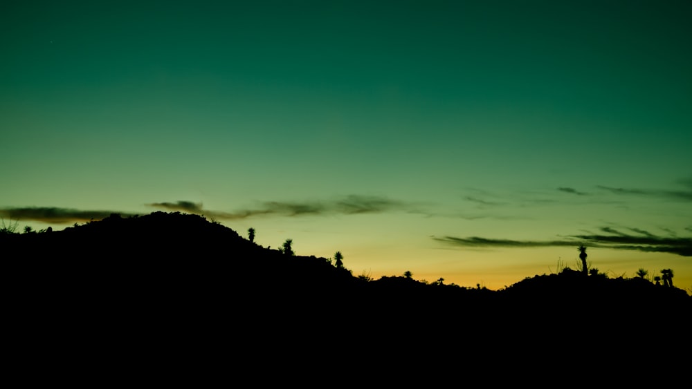 silhouette of trees during sunset