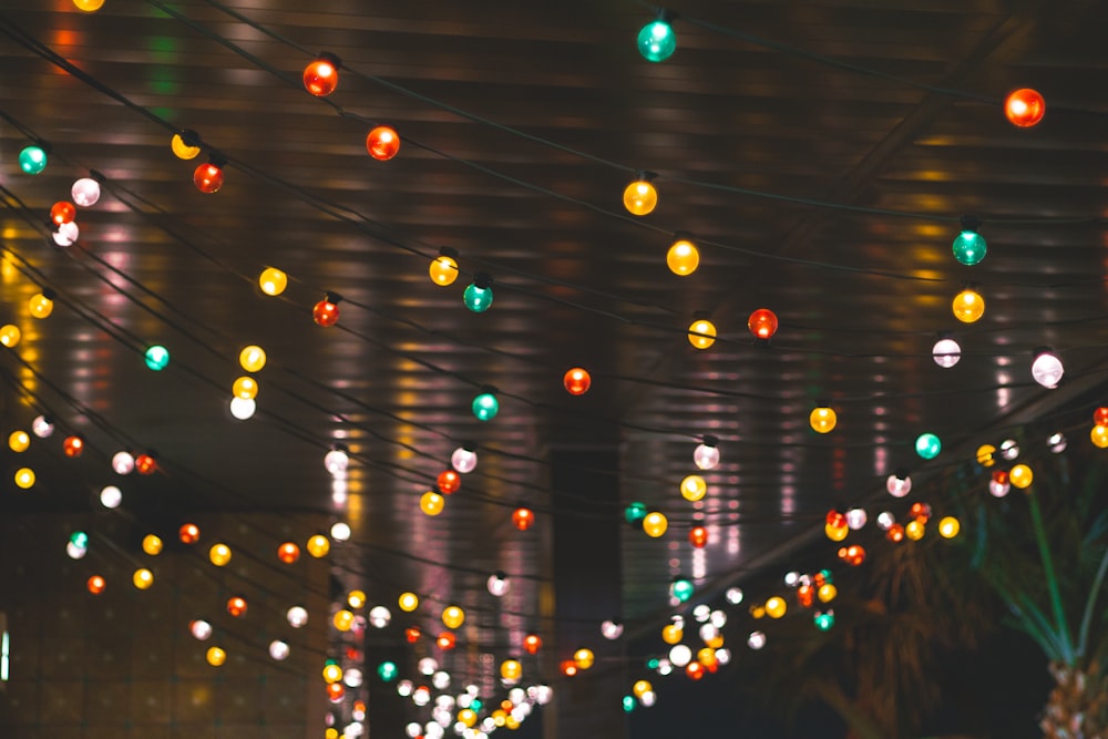 yellow and white string lights