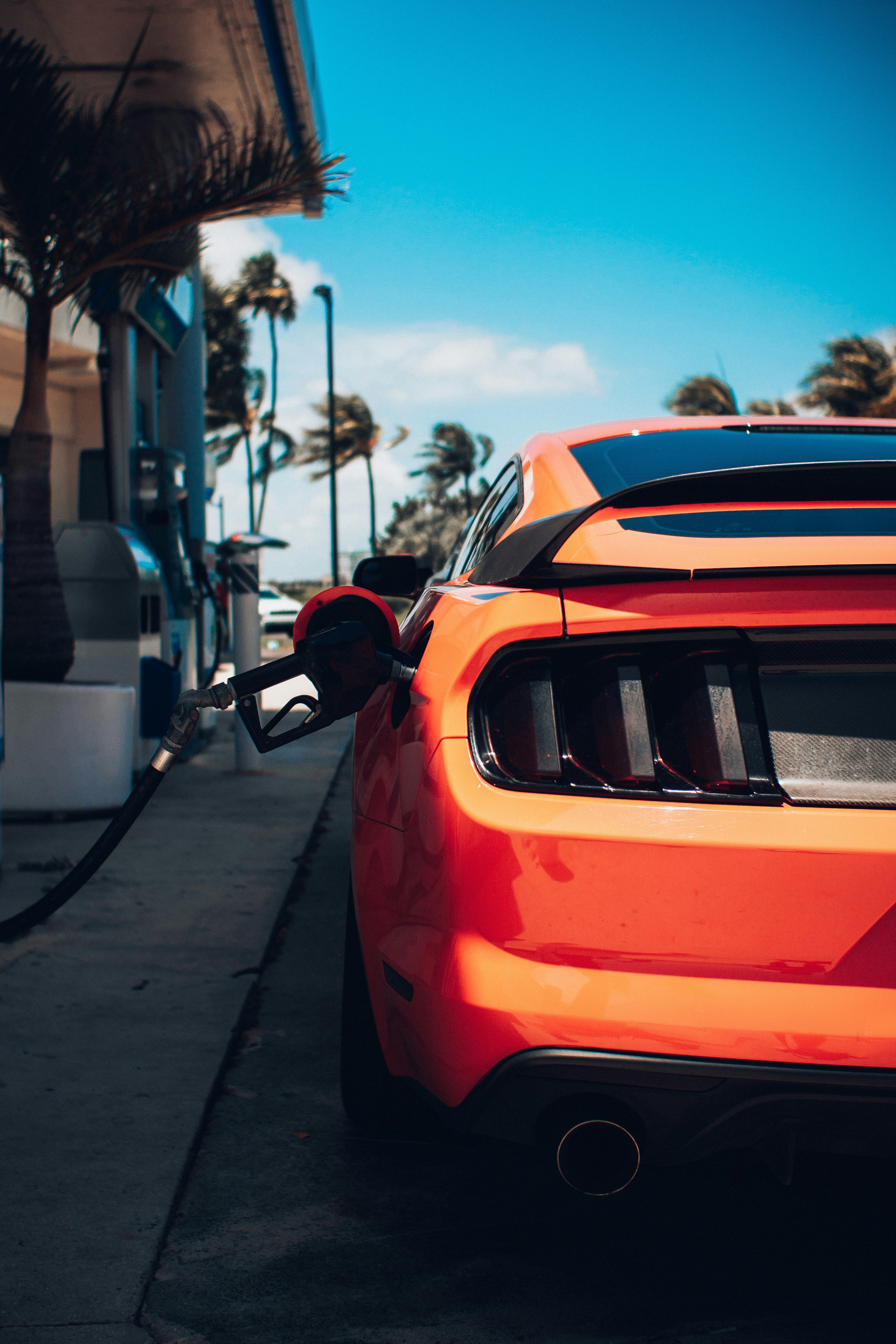 Photo by andredantan19