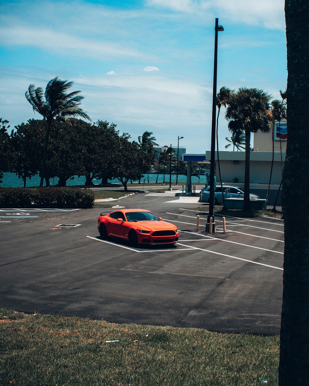 red ferrari sports car on road during daytime